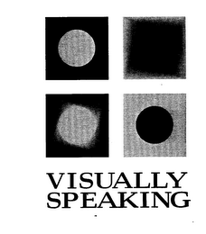 VISUALLY SPEAKING logo