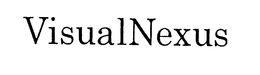VISUALNEXUS logo