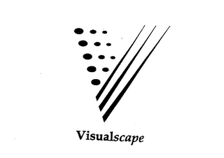 VISUALSCAPE logo