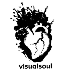 VISUALSOUL logo