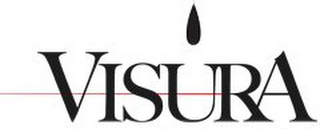 VISURA logo
