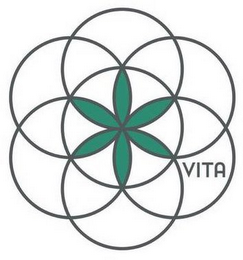 VITA logo