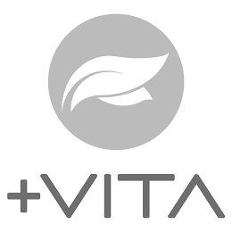 + VITA logo