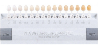 VITA BLEACHEDGUIDE 3D-MASTER VITA SYSTEM 3D-MASTER logo