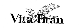 VITA BRAN logo
