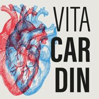VITA CAR DIN logo