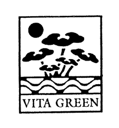VITA GREEN logo
