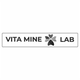 VITA MINE LAB logo