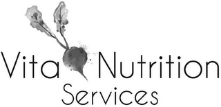 VITA NUTRITION SERVICES logo