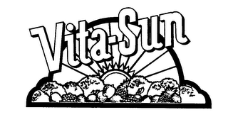 VITA-SUN logo