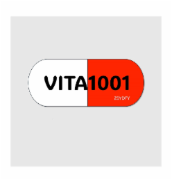 VITA1001 ZSYDFY logo