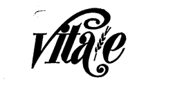 VITA/E logo