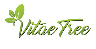 VITAE TREE logo