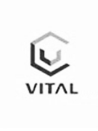 VITAL logo