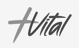 +VITAL logo