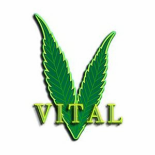 VITAL logo