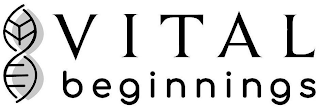 VITAL BEGINNINGS logo