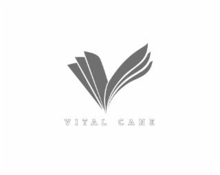 VITAL CANE logo
