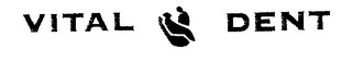 VITAL DENT logo