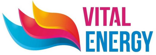 VITAL ENERGY logo