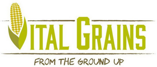 VITAL GRAINS FROM THE GROUND UP