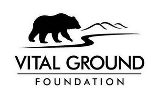 VITAL GROUND FOUNDATION logo