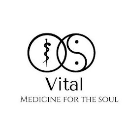 VITAL MEDICINE FOR THE SOUL logo