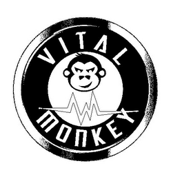 VITAL MONKEY logo