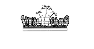 VITAL OASIS logo