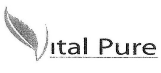 VITAL PURE logo