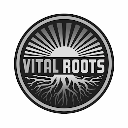 VITAL ROOTS logo