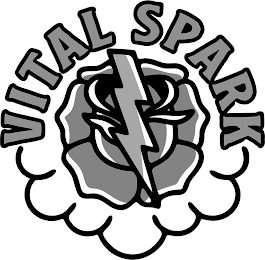 VITAL SPARK logo