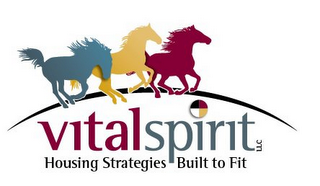 VITAL SPIRIT LLC HOUSING STRATEGIES BUILT TO FIT logo