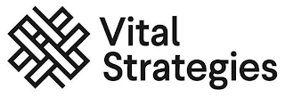 VITAL STRATEGIES logo