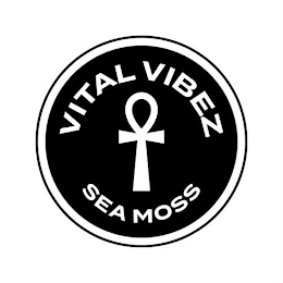 VITAL VIBEZ SEA MOSS logo