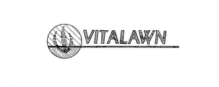 VITALAWN logo