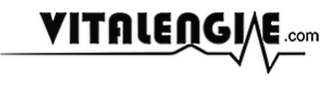 VITALENGINE.COM logo