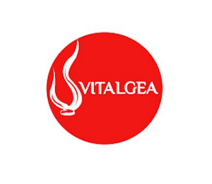 VITALGEA logo