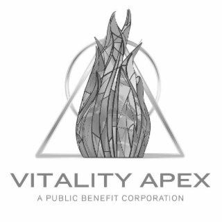 VITALITY APEX A PUBLIC BENEFIT CORPORATION logo