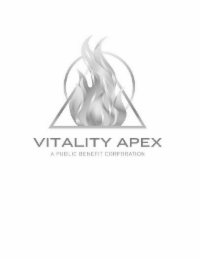 VITALITY APEX A PUBLIC BENEFIT CORPORATION logo