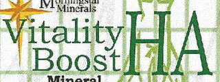 VITALITY BOOST HA logo