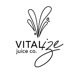 VITALIZE JUICE CO. logo