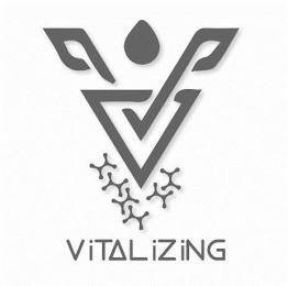 VITALIZING logo