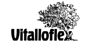 VITALLOFLEX logo