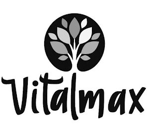 VITALMAX logo