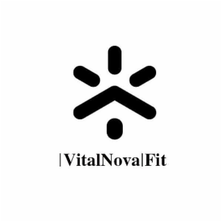 VITALNOVALFIT logo