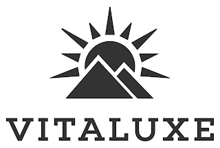 VITALUXE logo