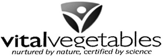 VITALVEGETABLES NURTURED BY NATURE, CERTIFIED BY SCIENCE logo