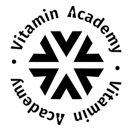 VITAMIN ACADEMY VVVVVV logo