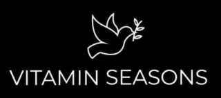 VITAMIN SEASONS logo
